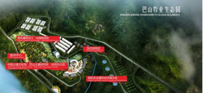 巴山土猪品牌logo与食品包装设计欣赏(图3)