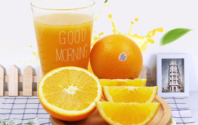 杨氏果业品牌logo与食品包装设计欣赏(图2)