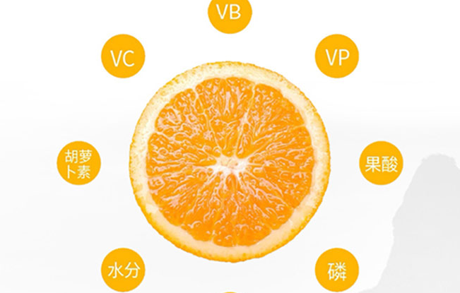 杨氏果业品牌logo与食品包装设计欣赏(图4)