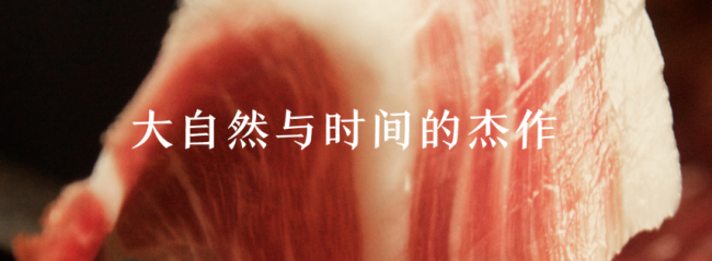 5J Cinco Jotas 5J Cinco Jotas品牌logo与食品包装设计欣赏(图4)