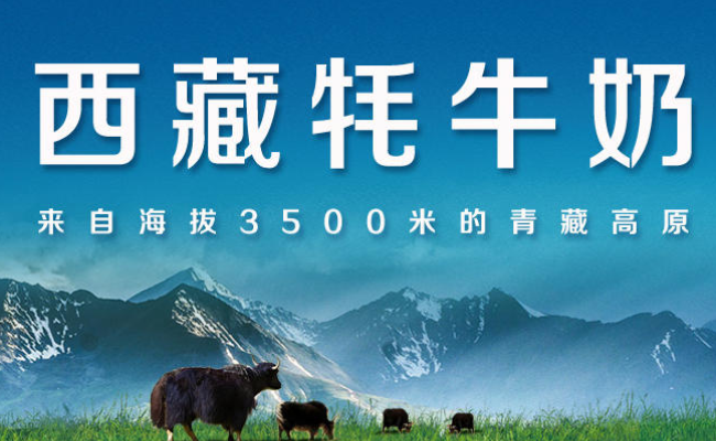 高原之宝品牌logo与食品包装设计欣赏(图2)