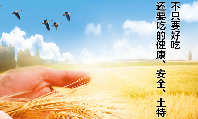 七河源 七河源品牌logo与食品包装设计欣赏(图3)