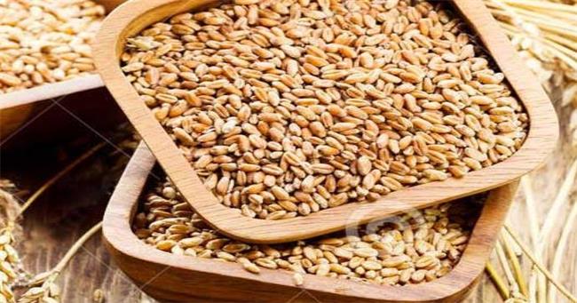 谷淳品牌logo与食品包装设计欣赏(图2)