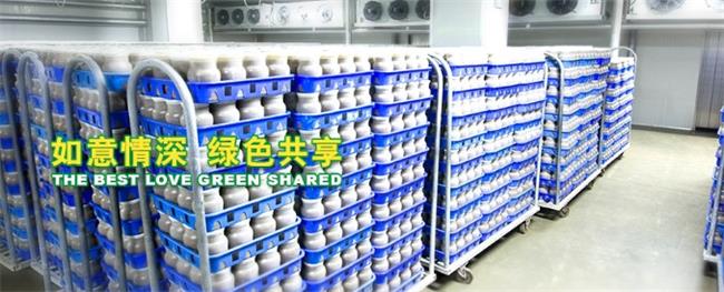 如意情品牌logo与食品包装设计欣赏(图3)