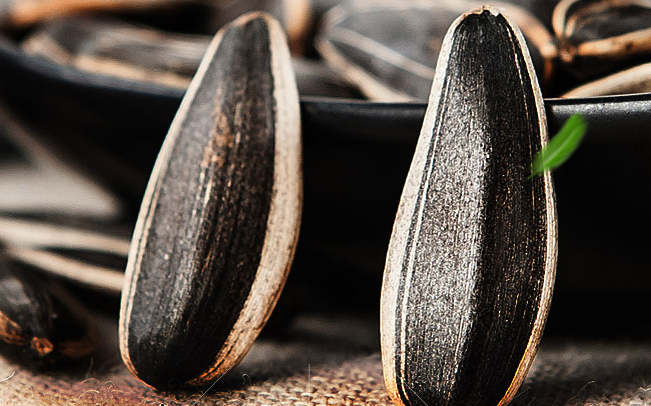 三胖蛋品牌logo与食品包装设计欣赏(图2)