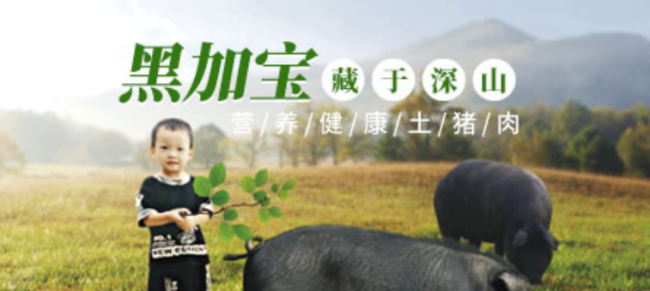 黑加宝品牌logo与食品包装设计欣赏(图4)