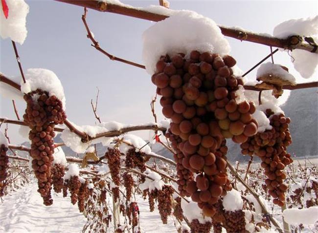 幸福小农品牌logo与食品包装设计欣赏(图2)