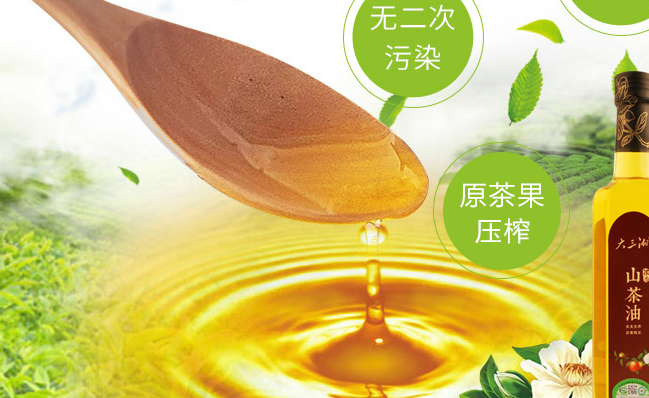 大三湘品牌logo与食品包装设计欣赏(图3)