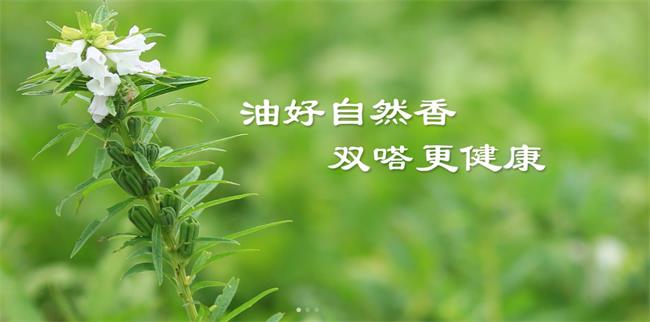 双嗒品牌logo与食品包装设计欣赏(图2)