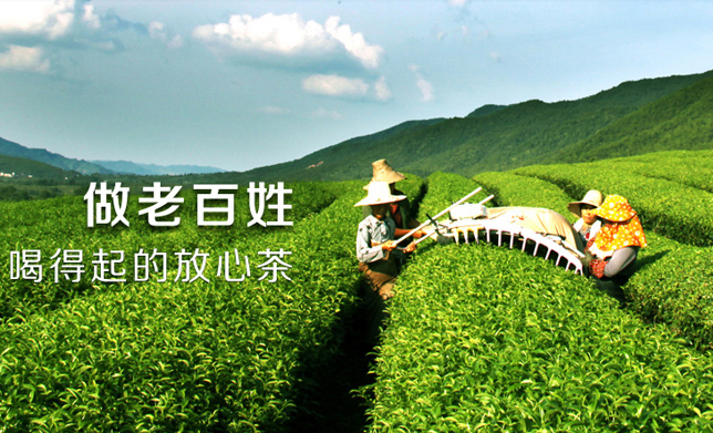 苏福茶业 苏福茶业品牌logo与食品包装设计欣赏(图3)