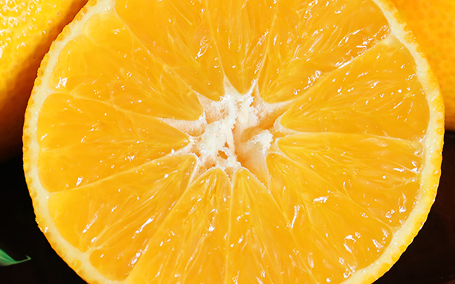 百宝源品牌logo与食品包装设计欣赏(图4)