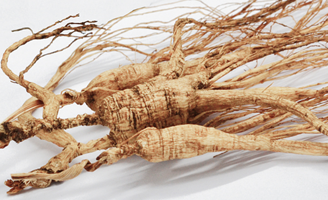 吉韩庄品牌logo与食品包装设计欣赏(图4)