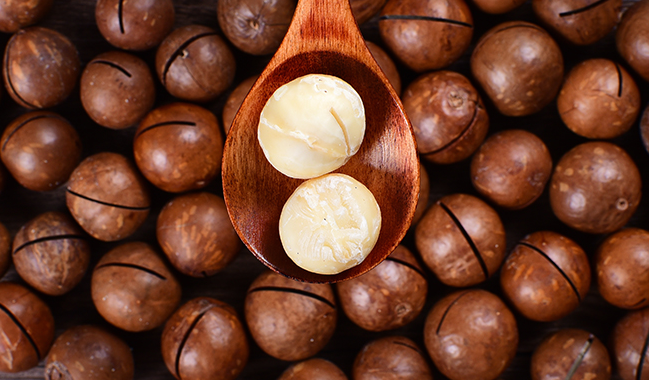 Rainbow天虹品牌logo与食品包装设计欣赏(图2)