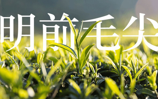 花枝茶业品牌logo与食品包装设计欣赏(图3)