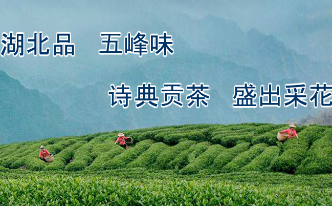 诗典贡茶 诗典贡茶食品包装设计欣赏(图2)