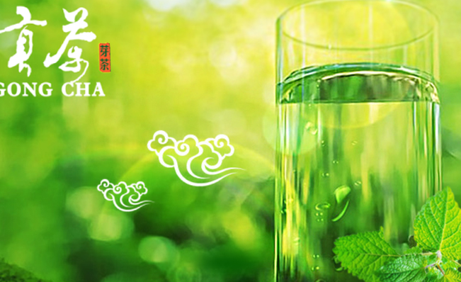 诗典贡茶 诗典贡茶食品包装设计欣赏(图4)