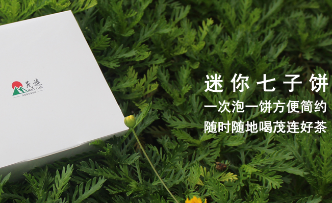 MAO LIAN茂连食品包装设计欣赏(图3)