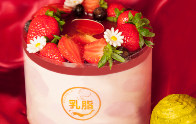 圣安娜饼屋 圣安娜饼屋食品包装设计欣赏(图2)