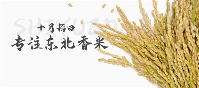 十月稻田食品包装设计欣赏(图3)