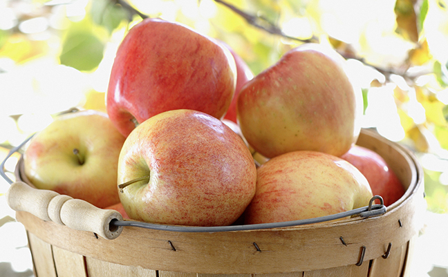 清谷田园 清谷田园食品包装设计欣赏(图3)