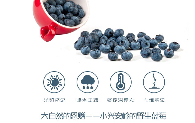 忠芝食品包装设计欣赏(图4)