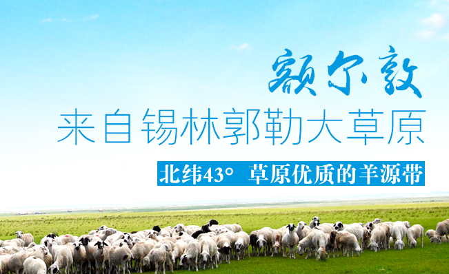 额尔敦 额尔敦食品包装设计欣赏(图3)