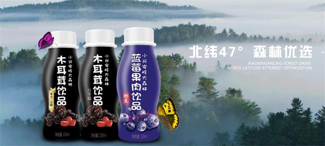 伊森林饮品 伊森林食品包装设计欣赏(图3)