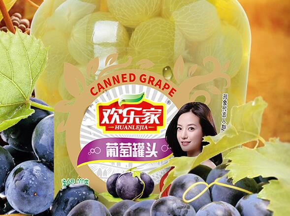 欢乐家HUANLEJIA食品包装设计欣赏(图2)