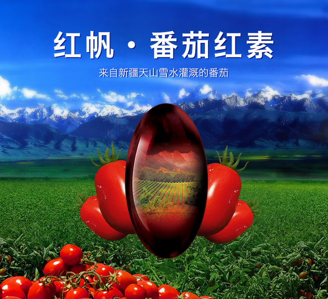 红帆食品包装设计欣赏(图2)