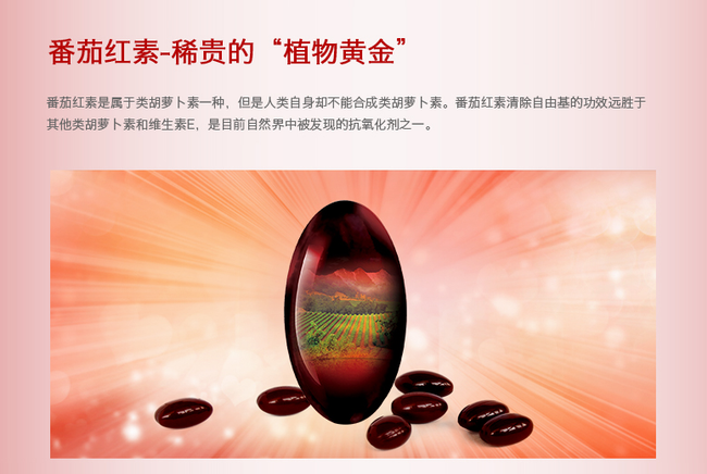 红帆食品包装设计欣赏(图3)