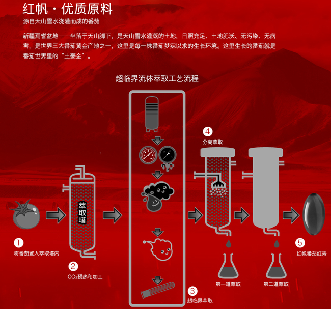 红帆食品包装设计欣赏(图4)