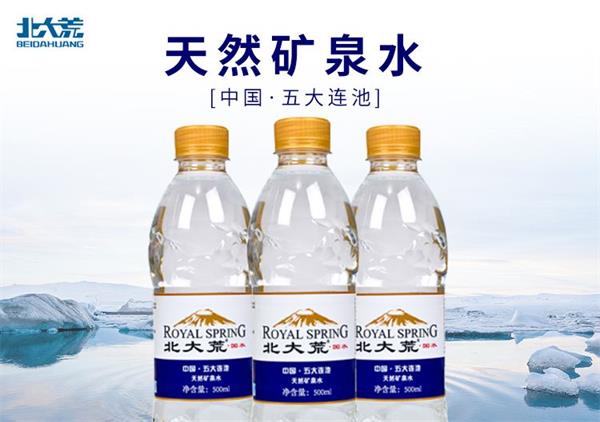 RoyalSpring国水食品包装设计欣赏(图2)