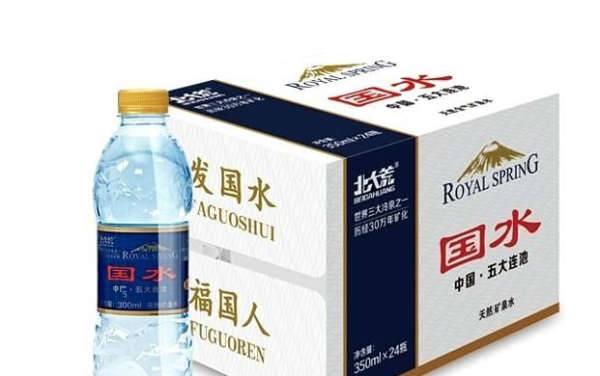 RoyalSpring国水食品包装设计欣赏(图4)