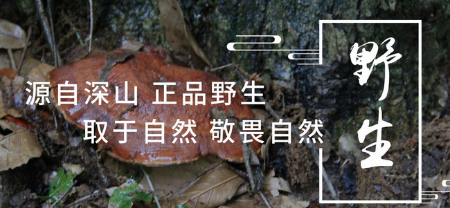 黄山云乐食品包装设计欣赏(图2)