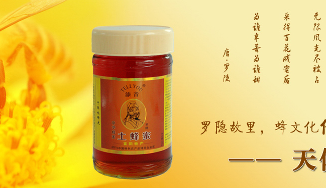 天依蜂食品包装设计欣赏(图4)