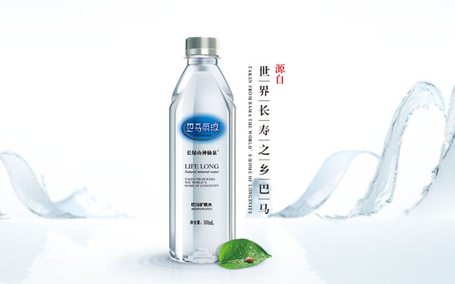 巴马丽琅食品包装设计欣赏(图2)