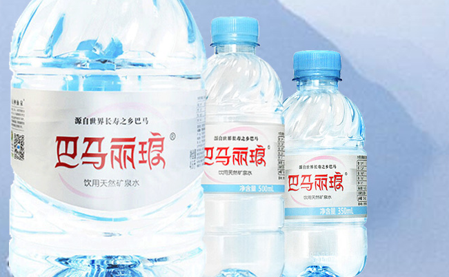 巴马丽琅食品包装设计欣赏(图4)