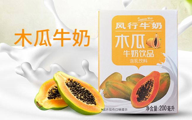 风行牛奶食品包装设计欣赏(图2)