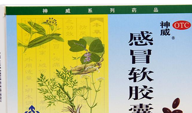 SHINEWAY神威食品包装设计欣赏(图3)