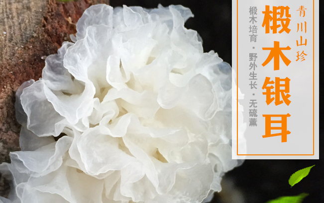 川珍 川珍食品包装设计欣赏(图2)