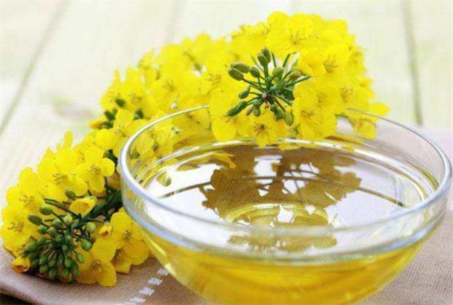 丰顺农业食品包装设计欣赏(图4)