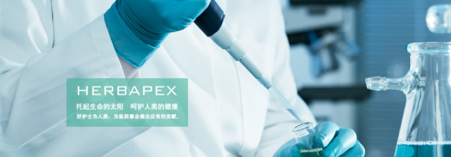 苍松食品包装设计欣赏(图2)