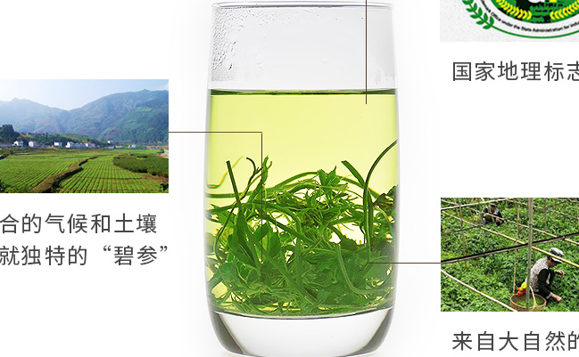 碧参食品包装设计欣赏(图3)