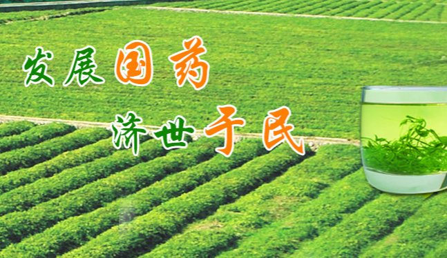 碧参食品包装设计欣赏(图4)