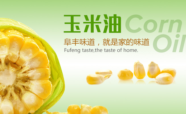 阜丰 阜丰食品包装设计欣赏(图3)