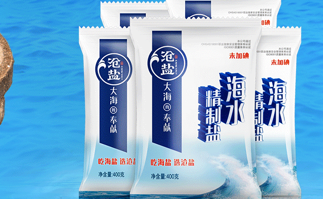 沧盐食品包装设计欣赏(图2)