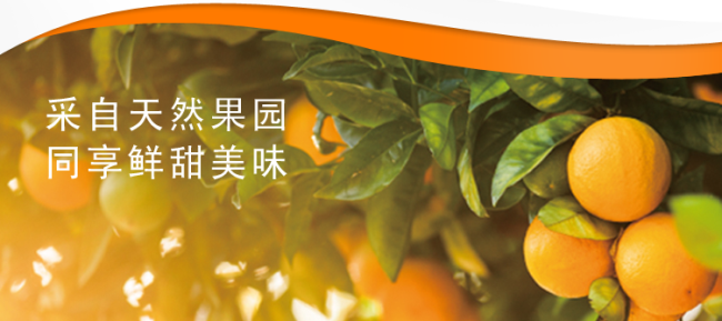 同发罐头 TONGFA同发食品包装设计欣赏(图2)