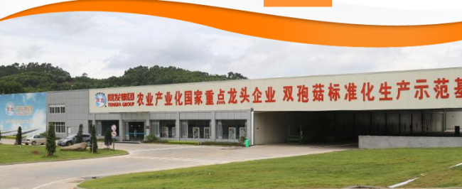 同发罐头 TONGFA同发食品包装设计欣赏(图3)