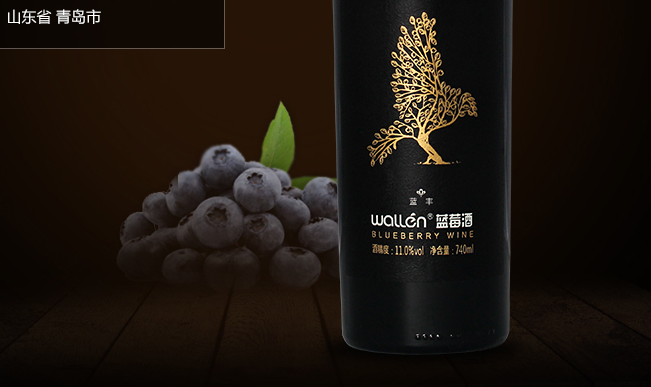 沃林 wallen沃林食品包装设计欣赏(图2)