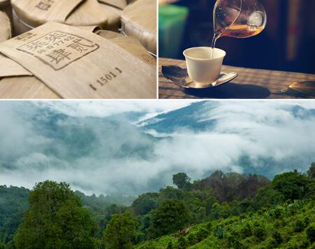 大益茶食品包装设计欣赏(图3)